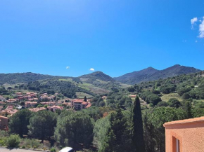 Collioure : Appartement T3 avec loggia, stationnement et jardin - FR-1-309-449
